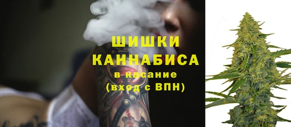 крисы Горнозаводск