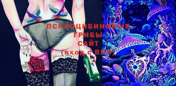 соль курить ск Горно-Алтайск